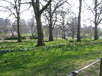 Green Park.jpg